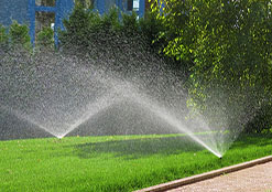 Installazione irrigazione a Torino